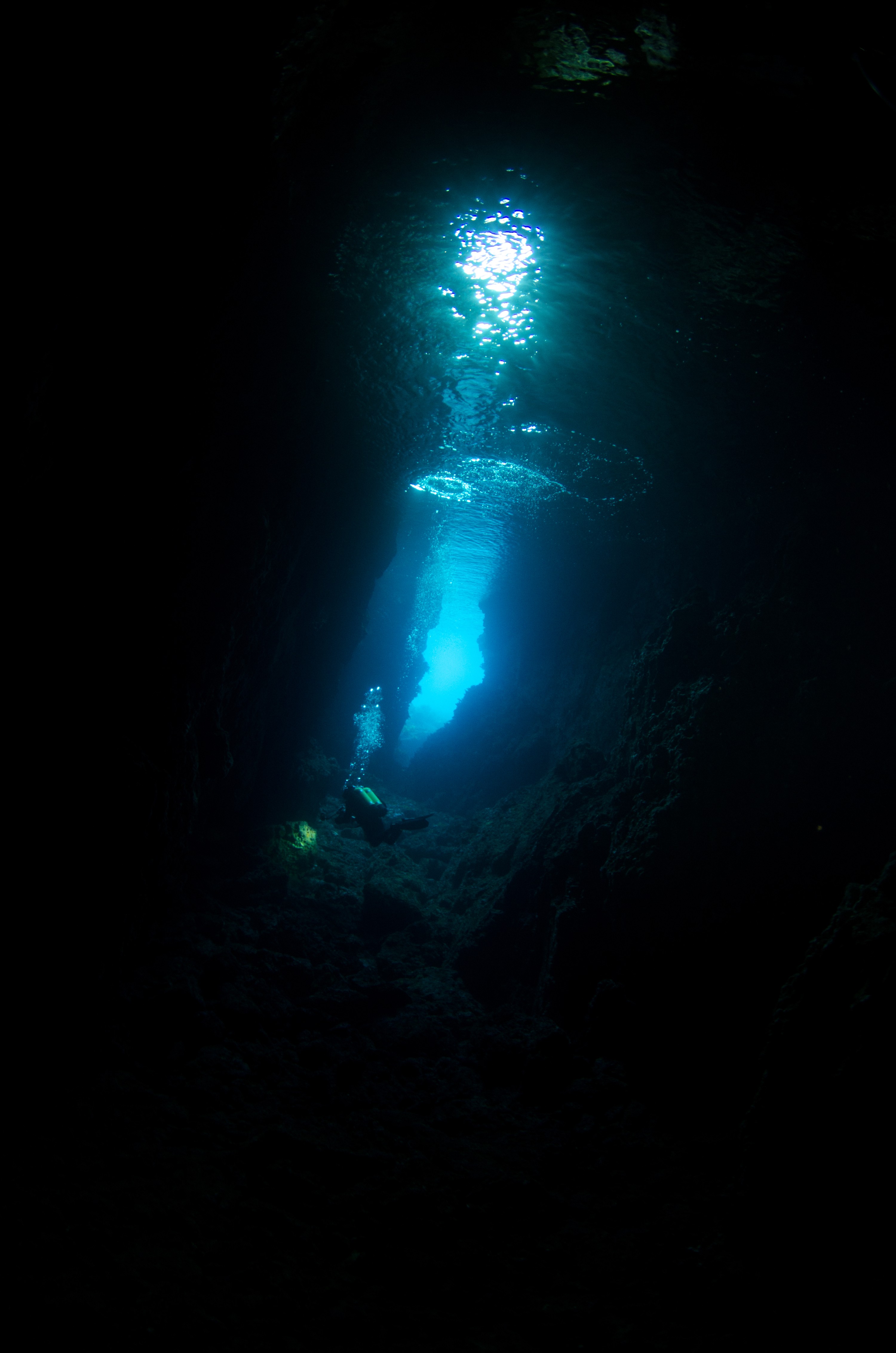 DSC_1976 – new, zealand, new zealand, nz, crispin, poor, knights, marine, reserve, Jans, Tunnel/, Lost, World, cave, fave place,